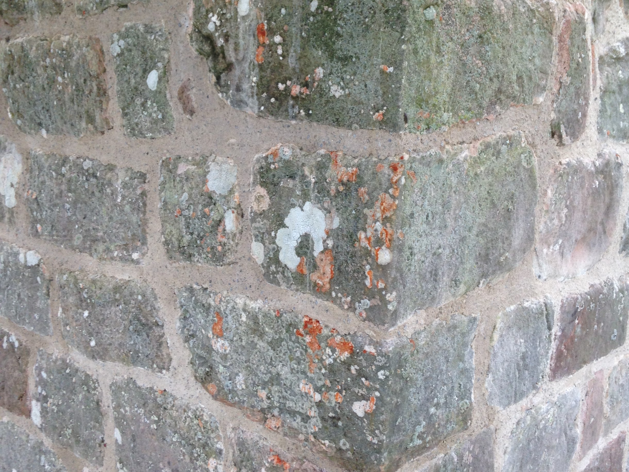 Lime in historic buildings YDMT